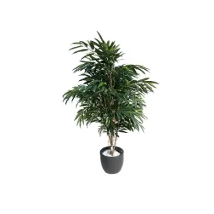 Штучна рослина ROYAL LONGIFOLIA TREE