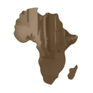 Дзеркало AFRICA