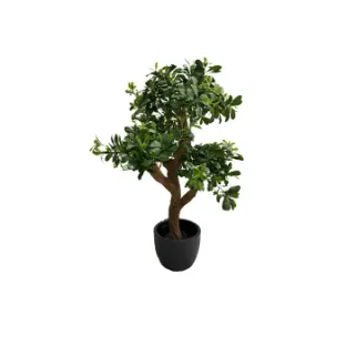 Штучна рослина PITTISPORUM MOUNTAIN TREE