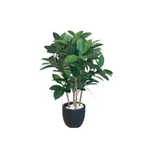 Штучна рослина RUBBER PLANT