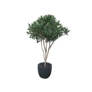 Штучна рослина EUONYMUS JAPONICUS TREE