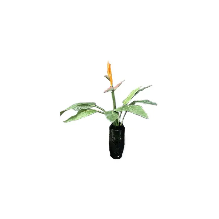 Штучна рослина STRELITZIA BUSH - 0