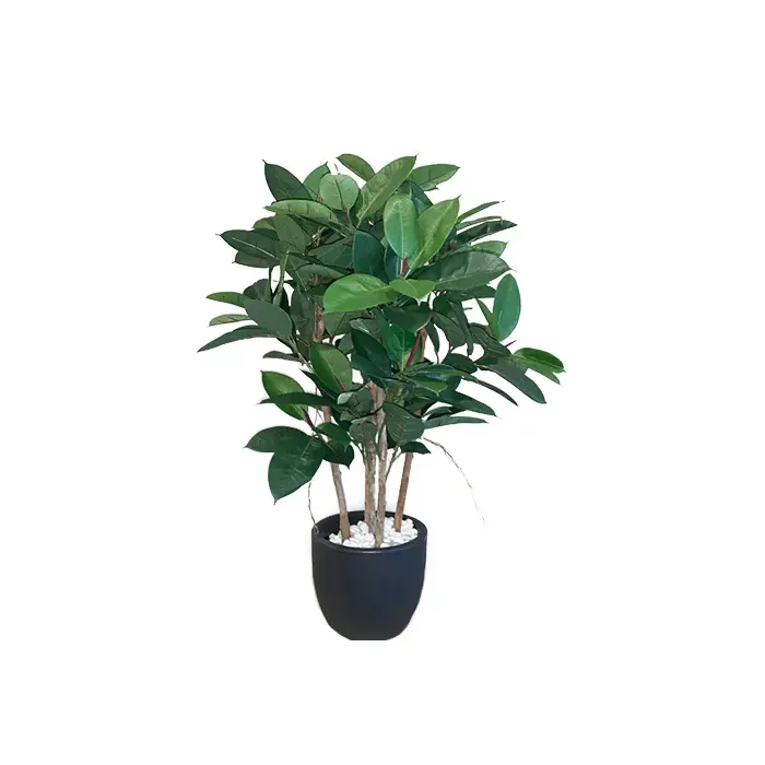 Штучна рослина RUBBER PLANT - 0